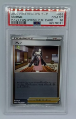 Pokemon Have Fun Spring Marnie